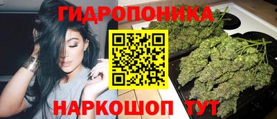 гидропоника Азнакаево