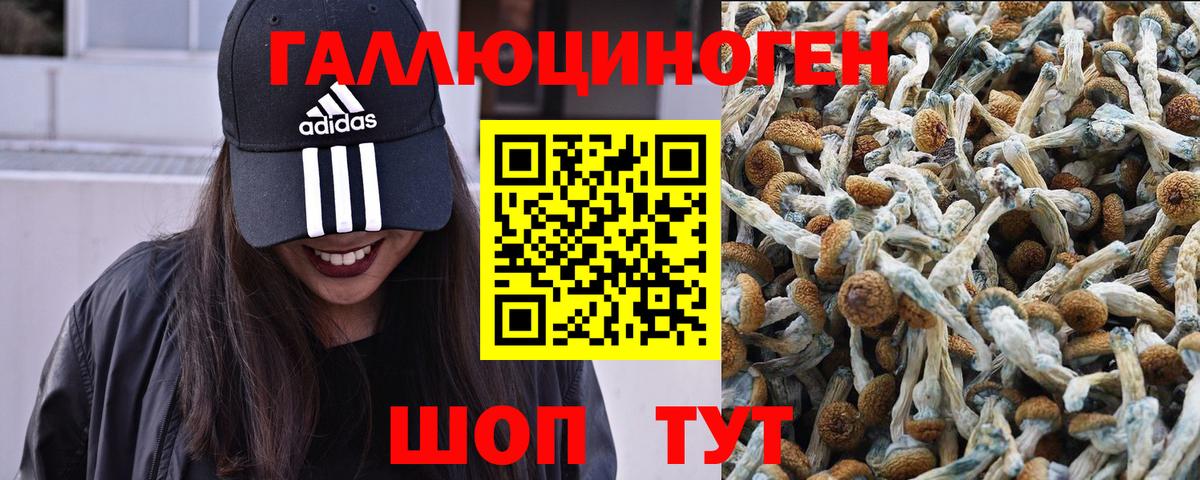 Ангарск  Галлюциногенные грибы мухоморы  Вход с VPN 